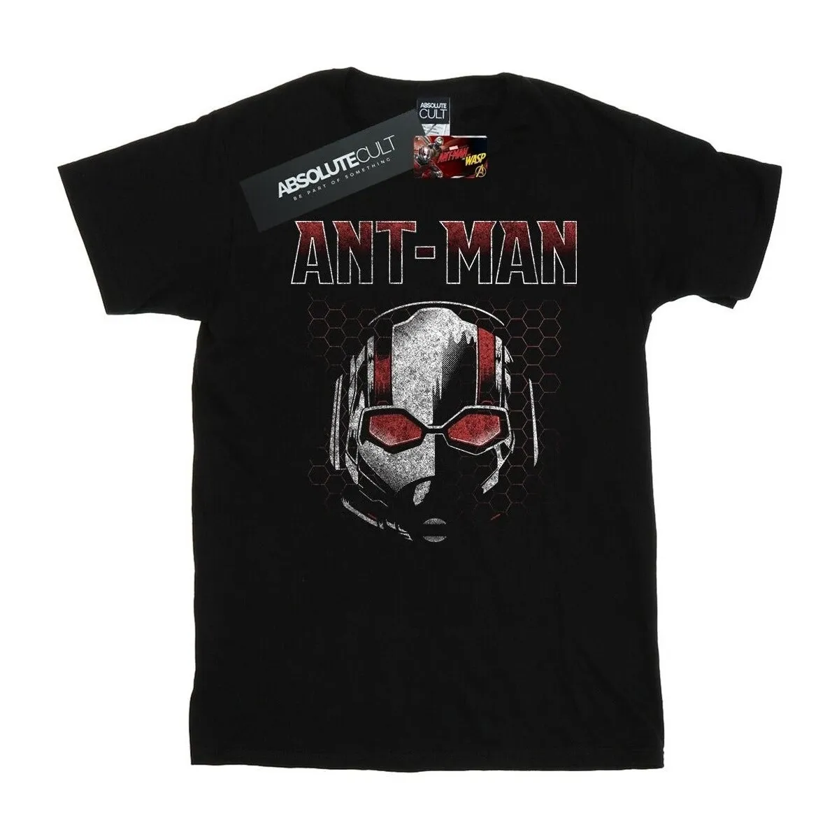 ANTMAN AND THE WASP SCOTT MASK HEXAGON