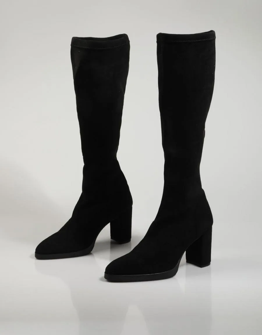  botas MISS ELASTIC 77067 en Preto 80857