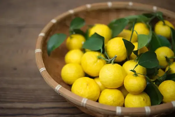 MISO sabor yuzu 150 gr