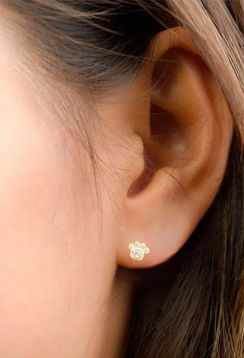 Pendientes de plata chapada forma huella de perro