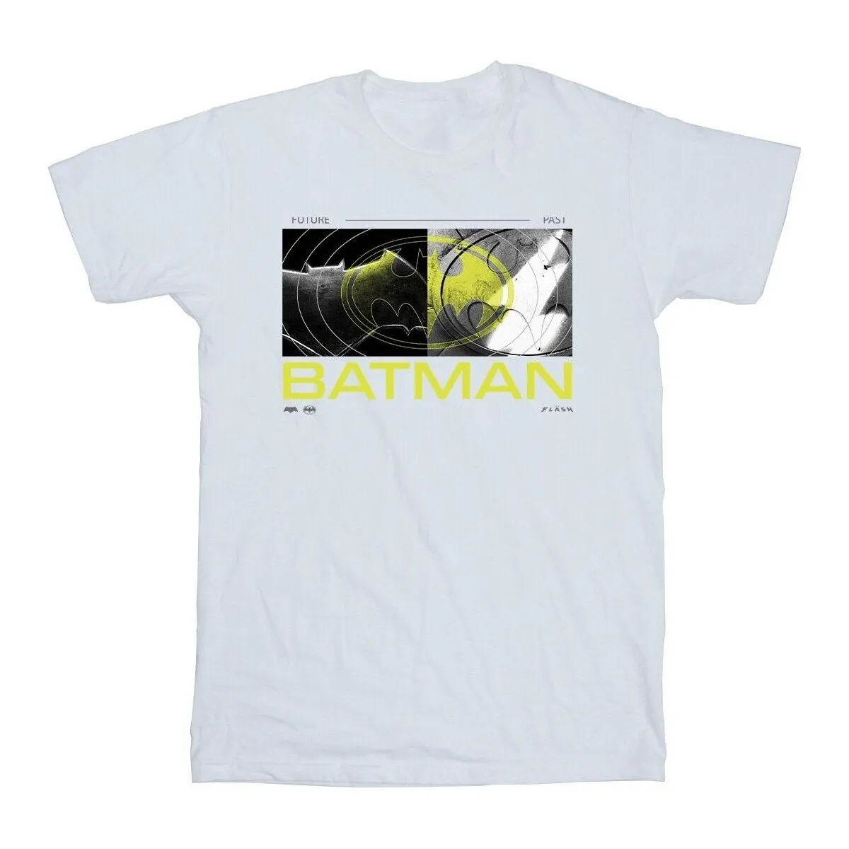 The Flash Batman Future To Past