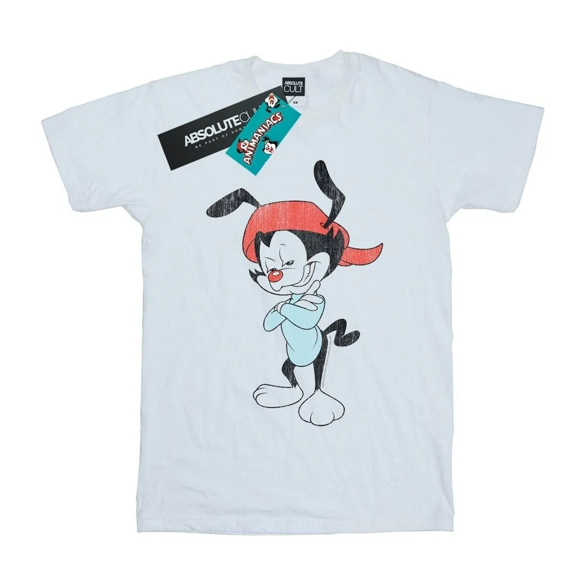 Wakko Classic Pose